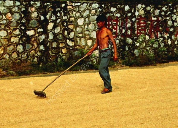 Chinese Farmer, Guilin Countryside